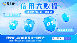 信用大数据一键查 高效决策新引擎(图1) 信用大数据一键查 高效决策新引擎(图1)